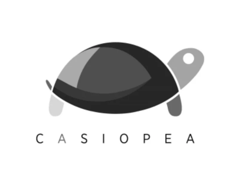 Casiopea Casiopea